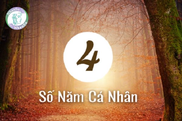 Năm cá nhân số 4 trong năm 2025 có ý nghĩa gì? Năm cá nhân số 4 nên làm gì?