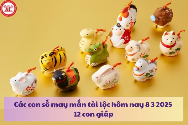 Các con số may mắn tài lộc hôm nay 8 3 2025 12 con giáp? Năm 2025 con giáp nào phạm tuổi Kim lâu?