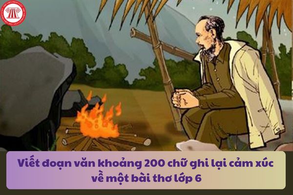 Viết đoạn văn khoảng 200 chữ ghi lại cảm xúc về một bài thơ lớp 6 (3 mẫu)? Hiệu trưởng trường trung học cơ sở có nhiệm vụ và quyền gì?