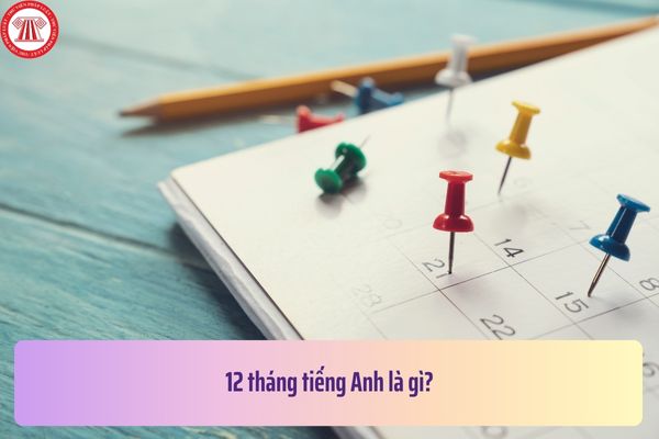 12 tháng tiếng Anh là gì? Thời hạn nộp báo cáo tài chính năm 2024 là tháng mấy năm 2025?