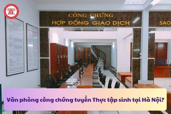 Văn phòng công chứng tuyển Thực tập sinh tại Hà Nội? Mô tả công việc Thực tập sinh Văn phòng công chứng?