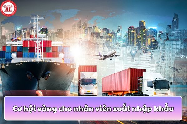 Cơ hội vàng cho nhân viên xuất nhập khẩu - thu nhập hấp dẫn, chế độ tốt?