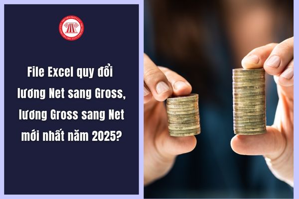 File Excel quy đổi lương Net sang Gross, lương Gross sang Net mới nhất năm 2025?