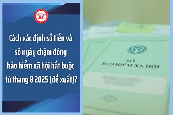 Cách xác định số tiền và số ngày chậm đóng bảo hiểm xã hội bắt buộc từ tháng 8 2025 (đề xuất)?
