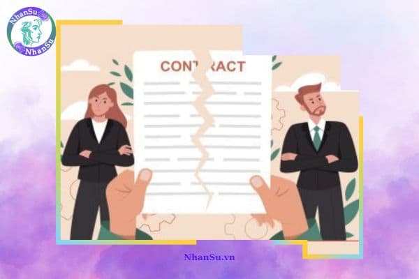 Thời gian, thử việc và chấm dứt hợp đồng