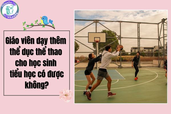 Giáo viên dạy thêm thể dục thể thao cho học sinh tiểu học có được không?