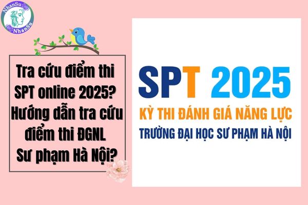 Tra cứu điểm thi SPT online 2025? Hướng dẫn tra cứu điểm thi ĐGNL Sư phạm Hà Nội?