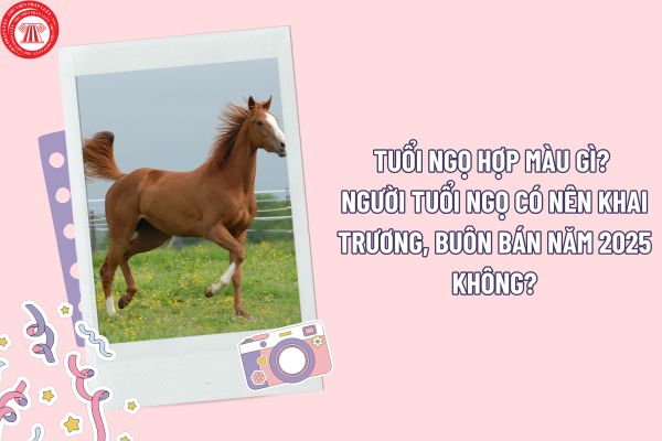 Tuổi Ngọ Hợp Với Xe Màu Gì - Bí Quyết Chọn Màu Xe Phù Hợp Phong Thủy Và Phẩm Chất Người