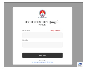 Hướng dẫn làm bài khảo sát năng lực ngoại ngữ lớp 11 TPHCM năm 2025