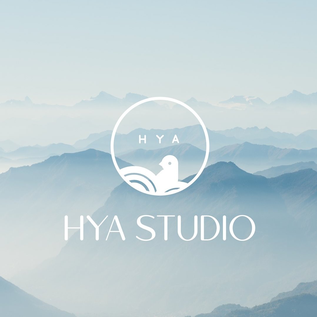 Công ty Trách nhiệm hữu hạn HYA