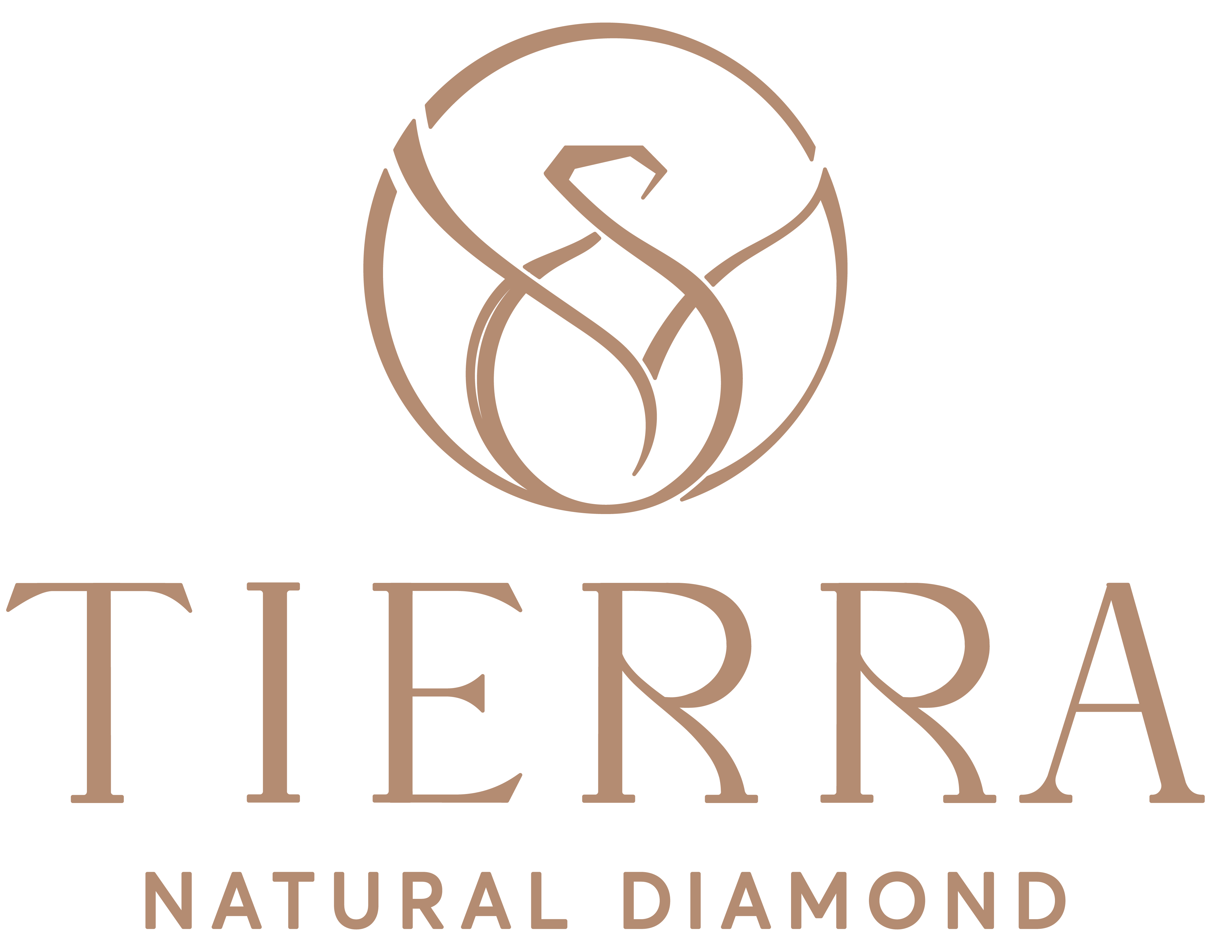 Công ty Cổ phần Tierra