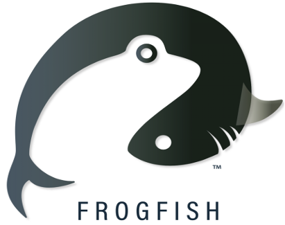 Văn phòng Đại diện Frogfish International Corp. tại Thành phố Hồ Chí Minh
