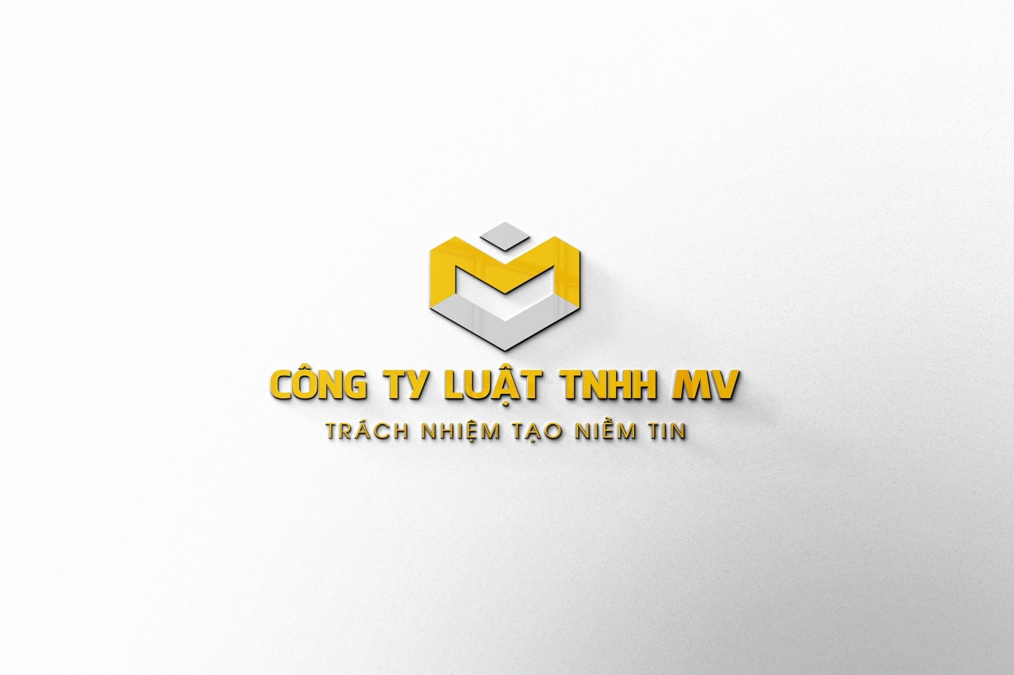 Công ty Luật Trách nhiệm hữu hạn MV