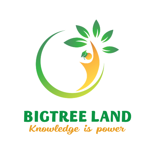 Công ty TNHH Công nghệ Giáo dục Eland