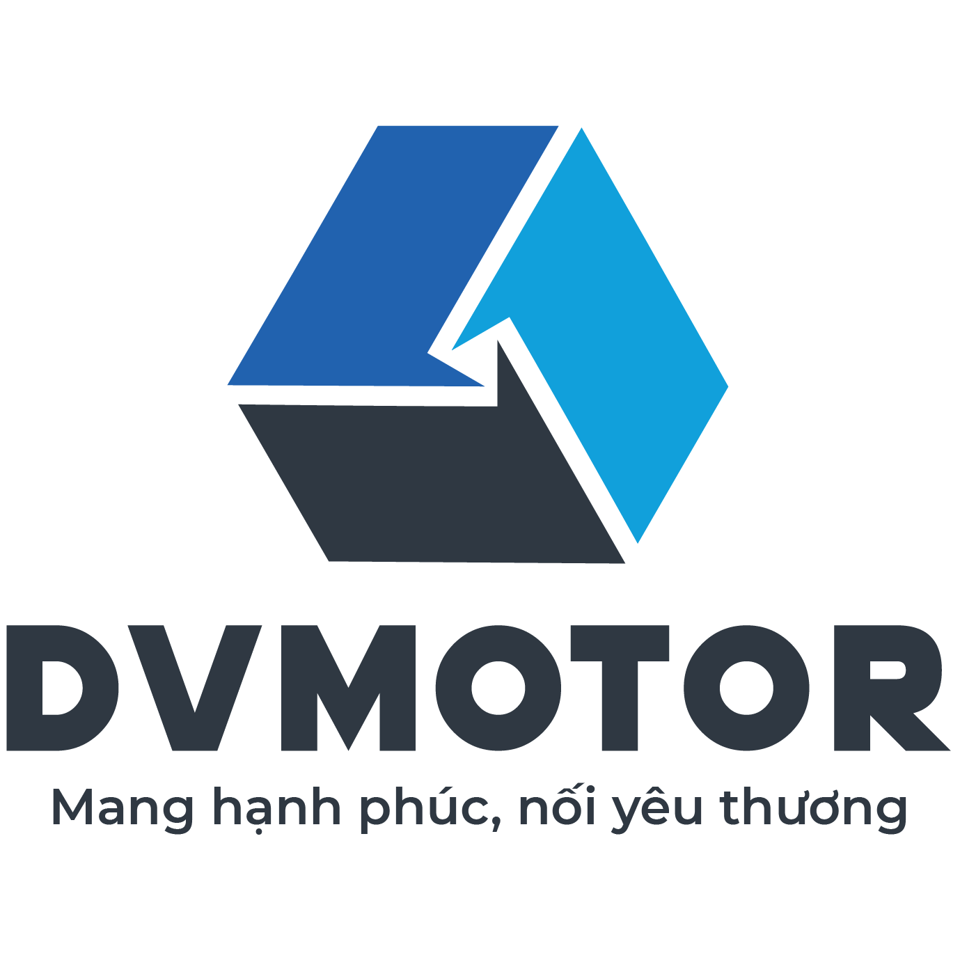 Công ty Cổ phần DvMotor