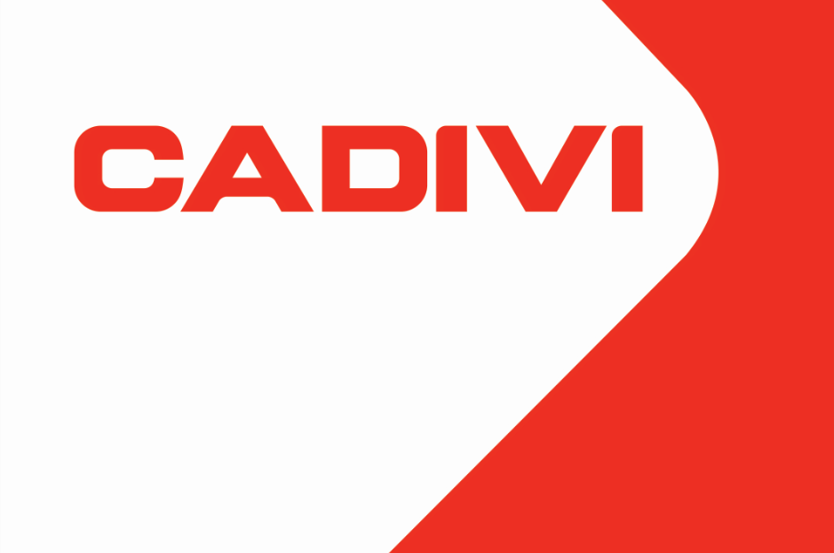 Công ty TNHH MTV Cadivi Miền Bắc