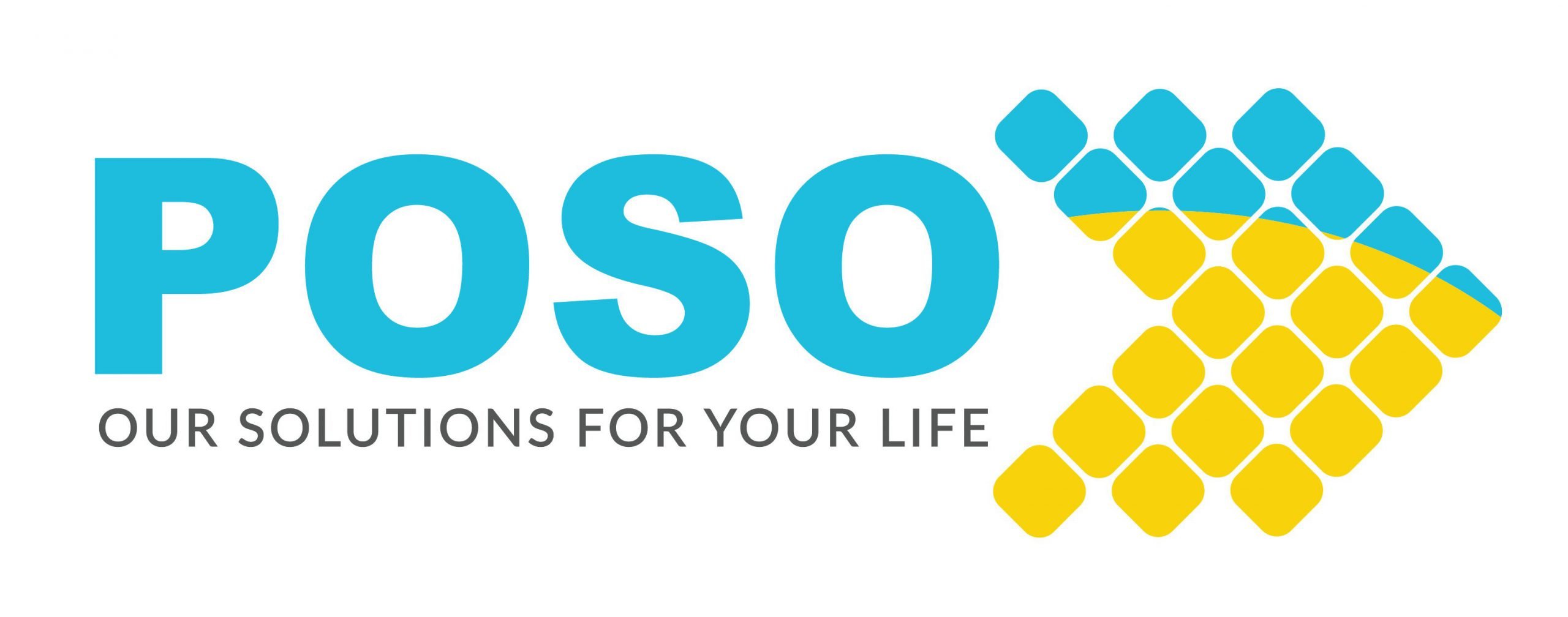 Công ty Cổ phần Poso Việt Nam