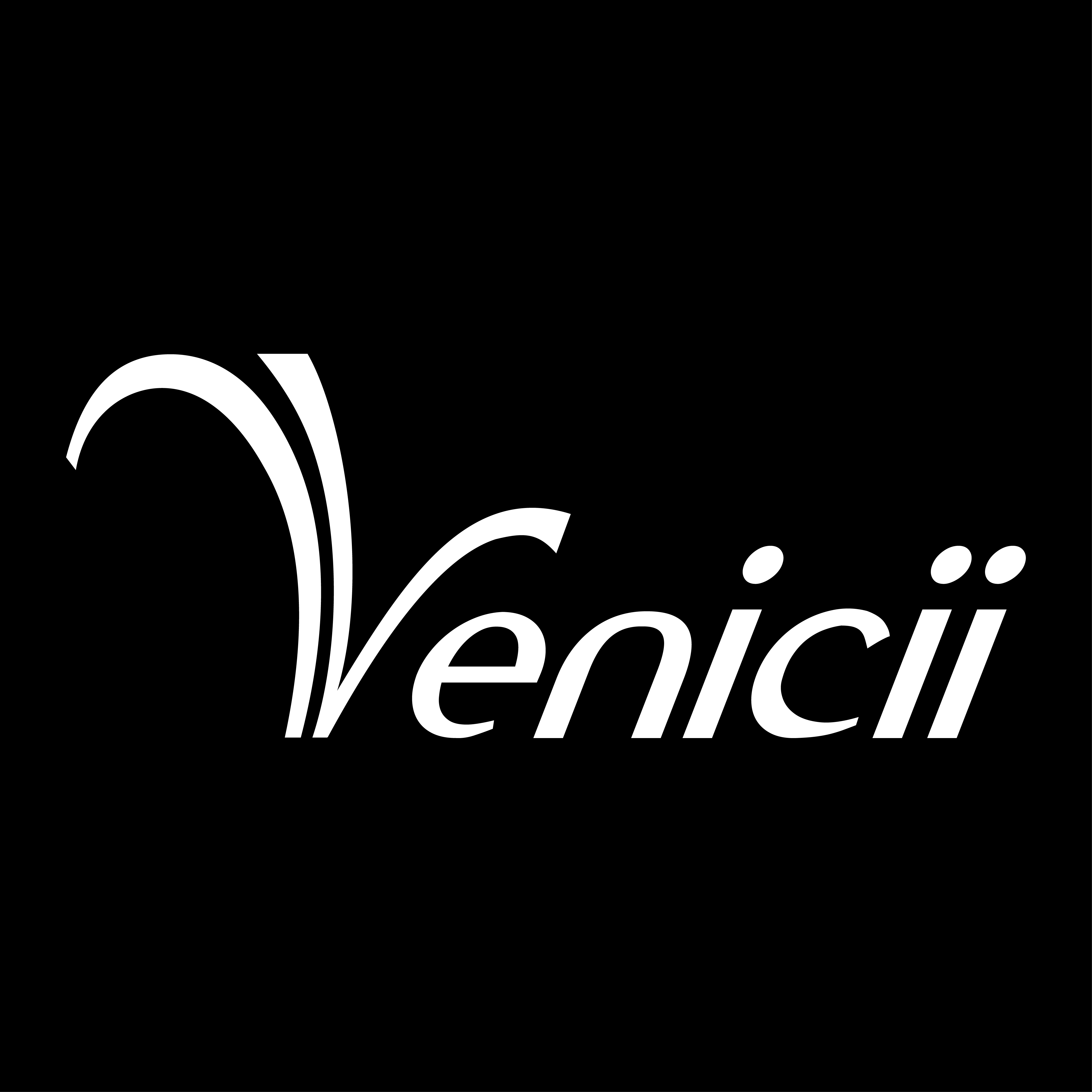 Công ty CP Venicii Việt Nam