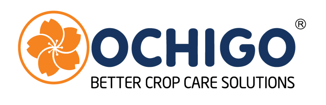 Công ty TNHH Ochigo Việt Nam