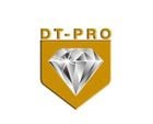 Chi nhánh tại Đồng Tháp- Công ty TNHH DT-Pro