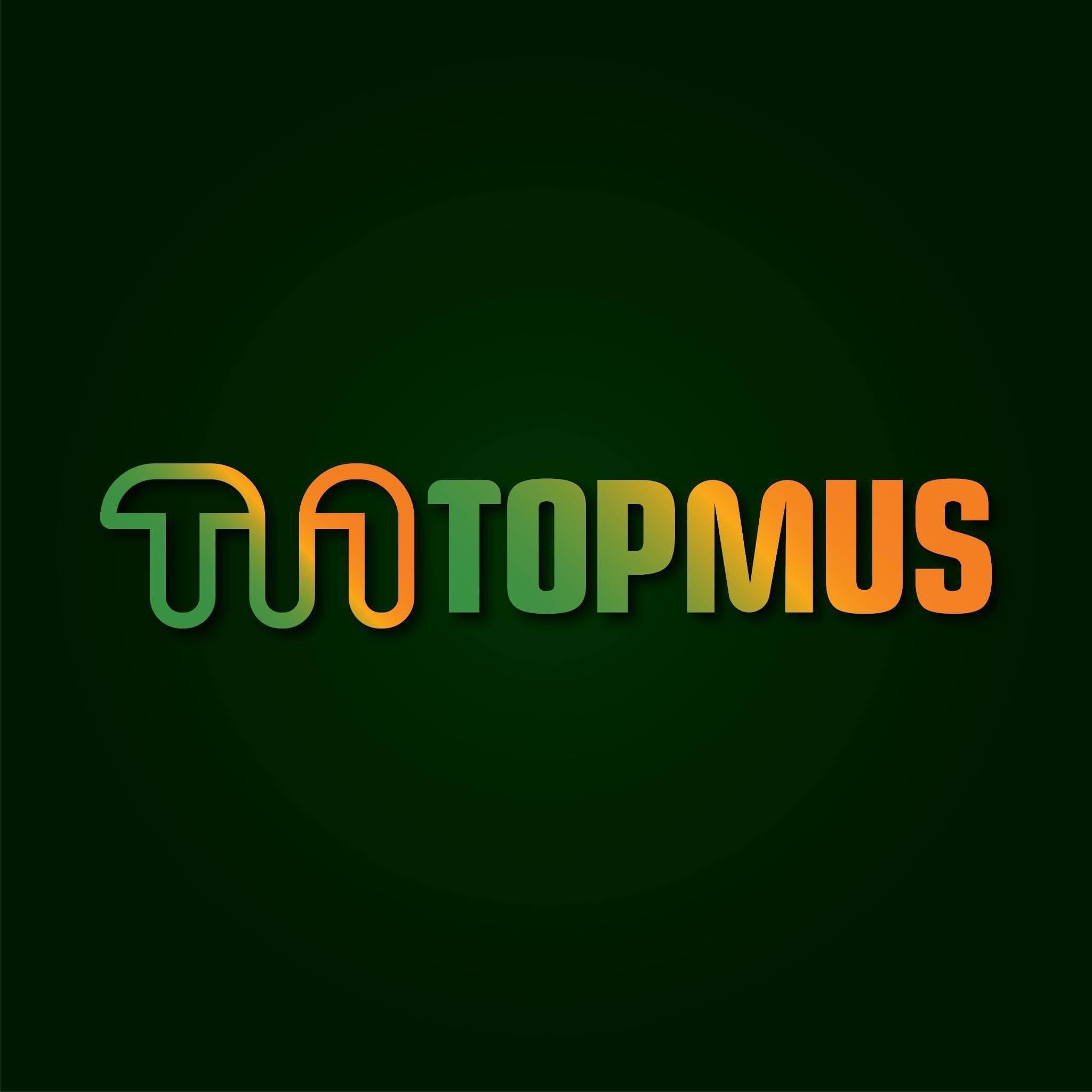 Công ty TNHH Nghệ thuật Giải trí Topmus