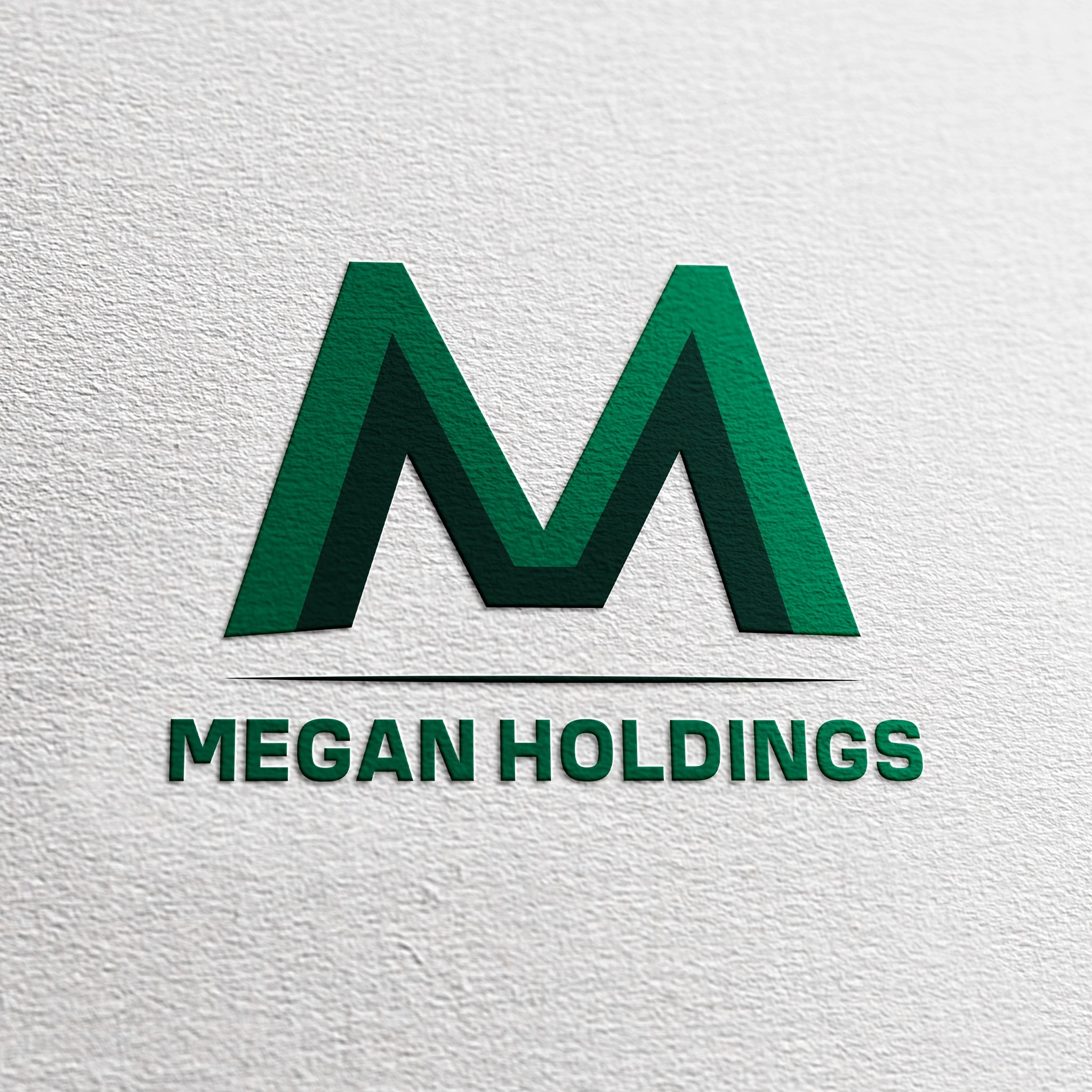 Công ty Cổ phần Megan Holdings