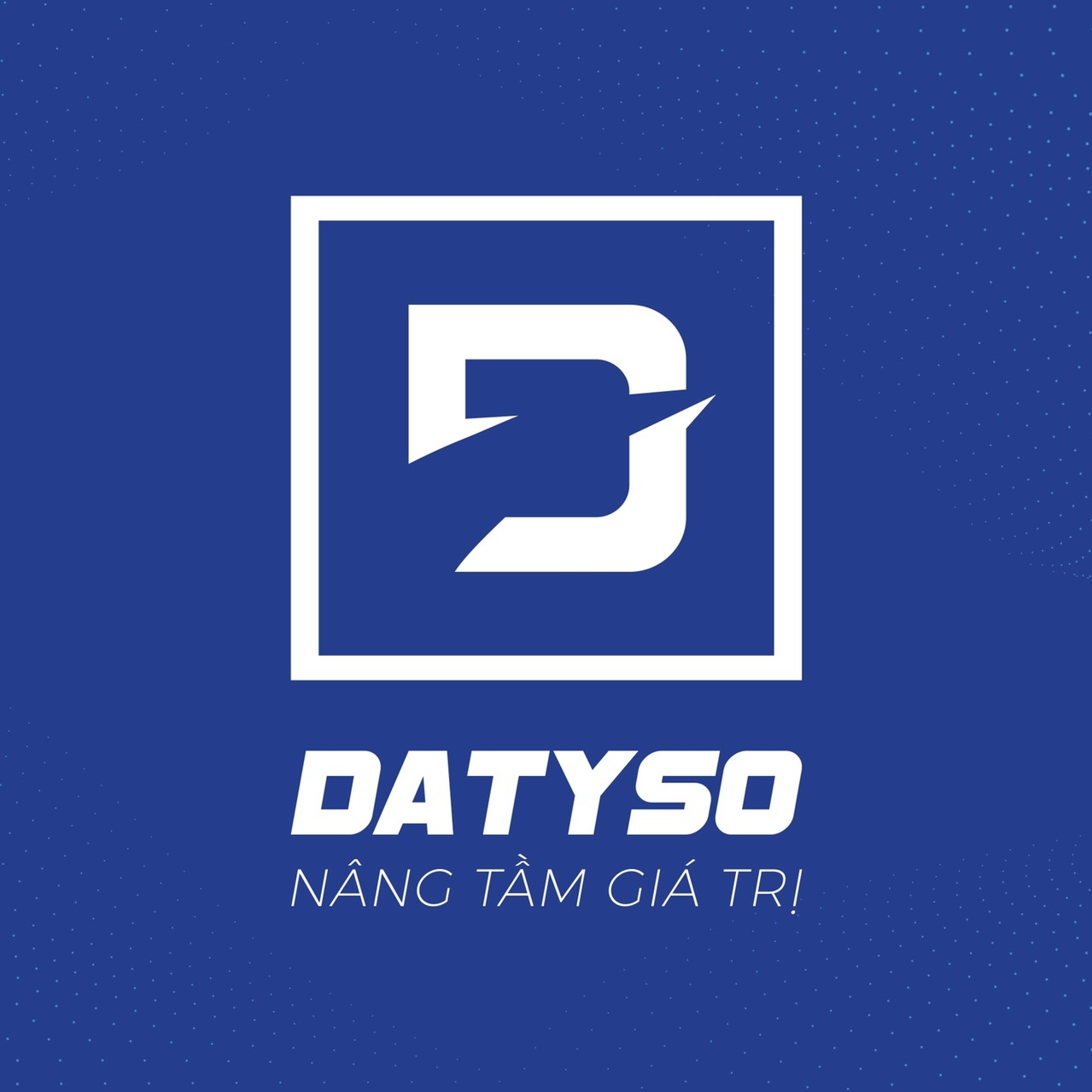 Công ty Cổ phần Datyso Việt Nam
