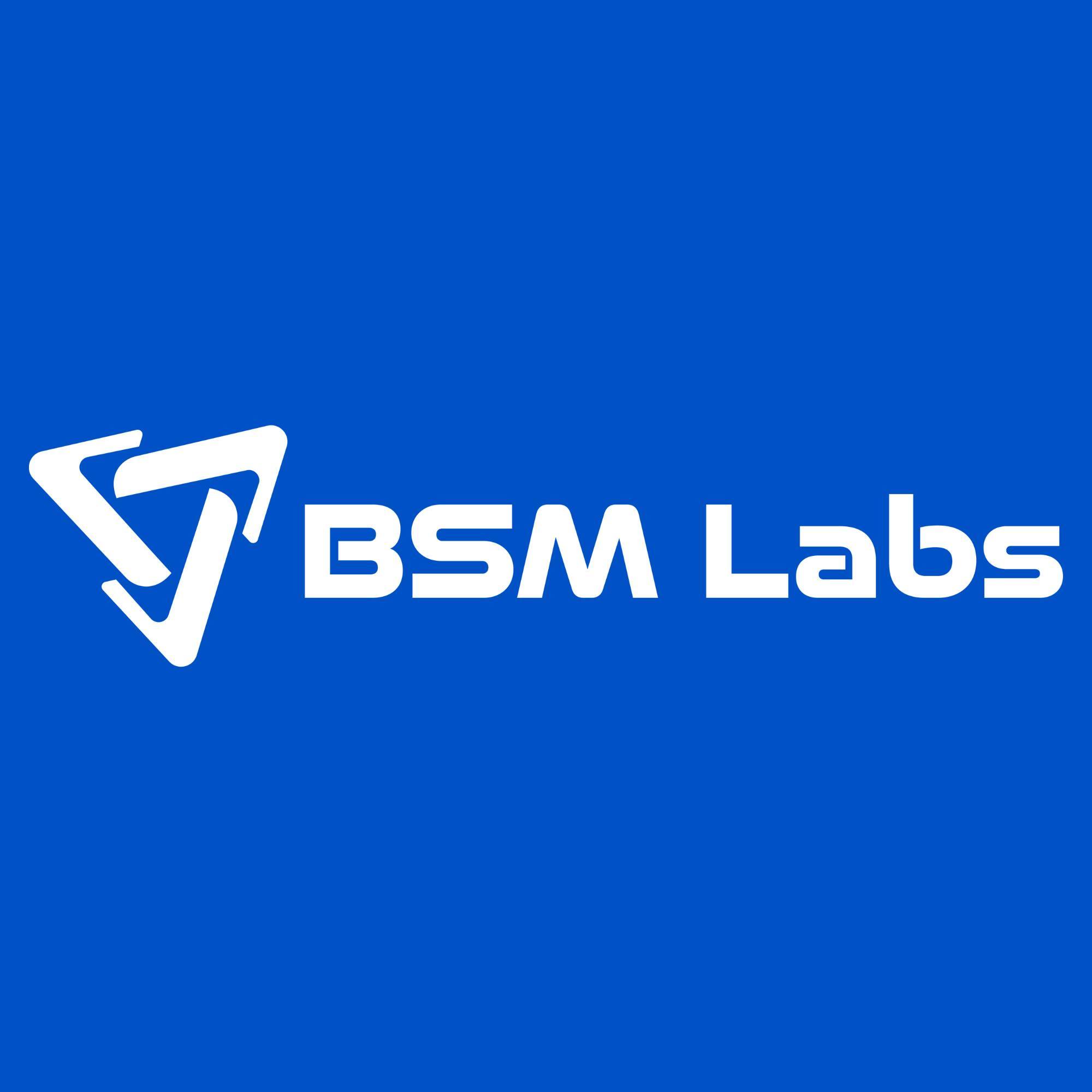 Công ty Cổ phần BSM Labs
