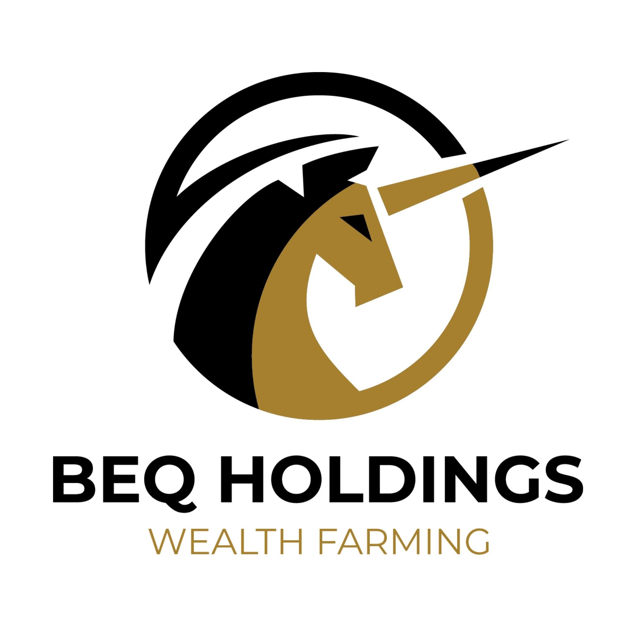 Công ty Cổ phần BeQ Holdings