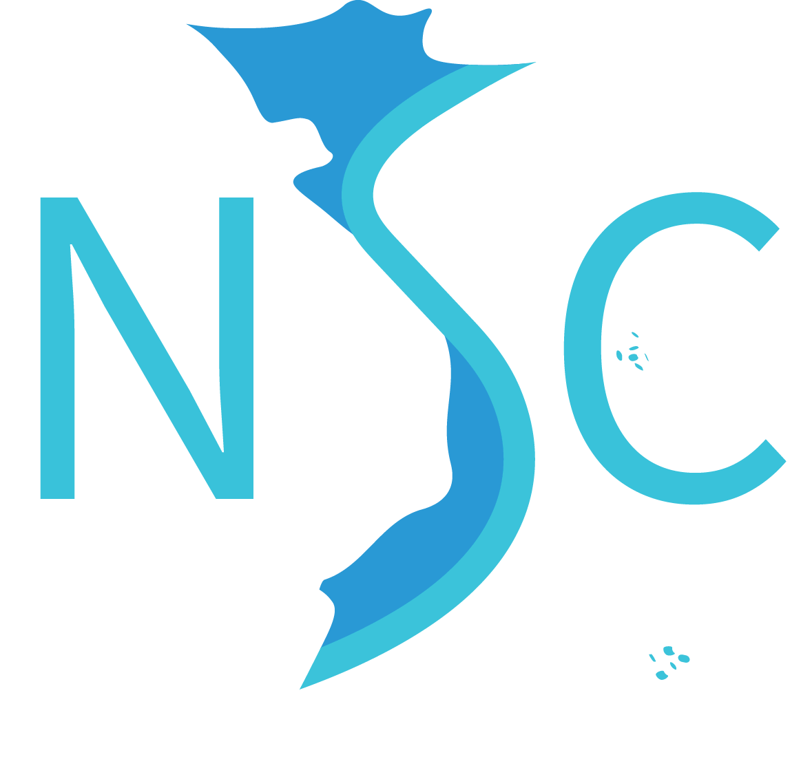 Công ty TNHH NSC Software