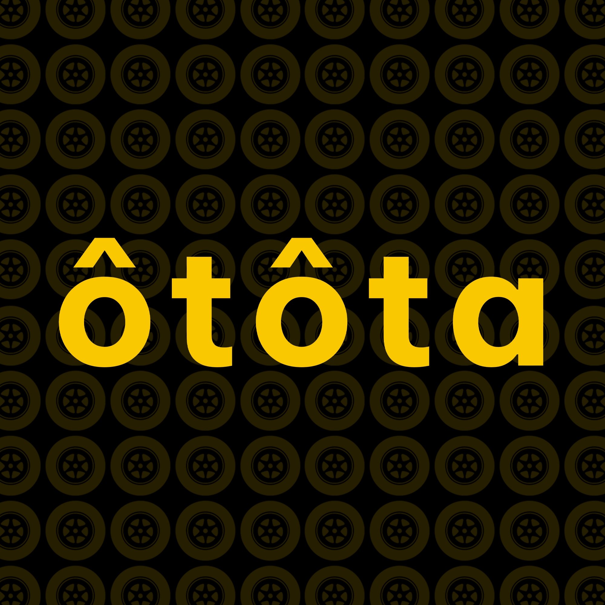 Công ty TNHH Otota