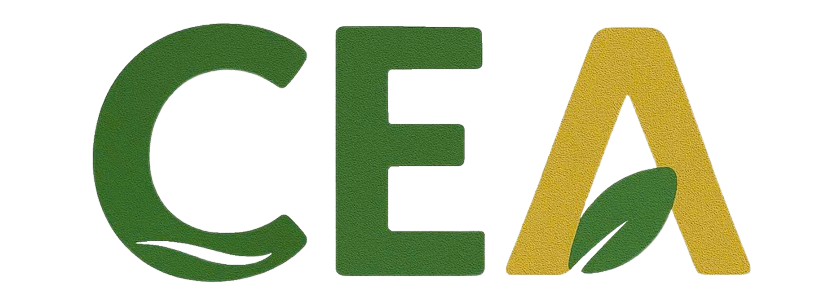 Công ty Cổ phần Cea Holdings