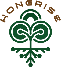 Công ty Cổ phần Hongrise Holding