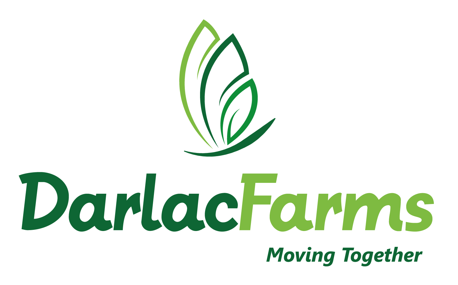 Công ty Trách nhiệm hữu hạn Trái cây Darlac Farms