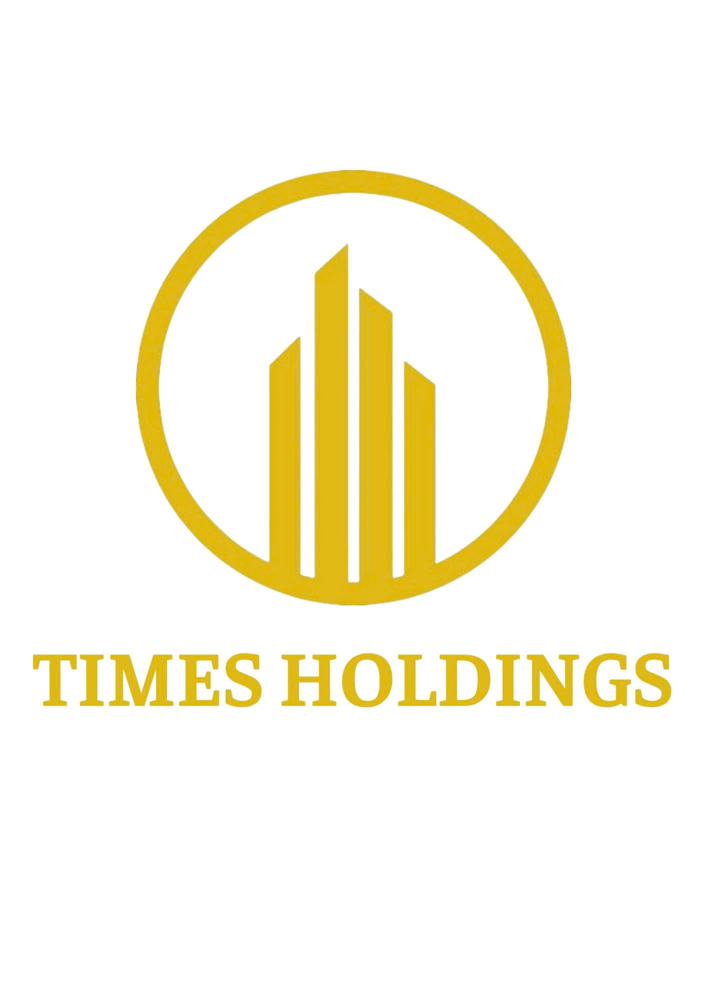 Công ty Cổ phần Đầu Tư Times Holdings