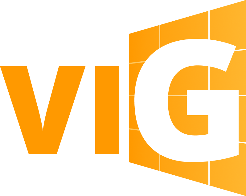 Công ty Cổ phần Giải pháp và Công nghệ VIG