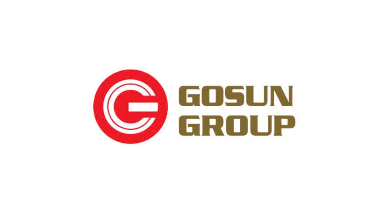 Công ty Cổ phần Tập đoàn GoSun