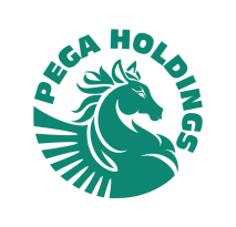 Công ty Cổ phần Pega Holdings
