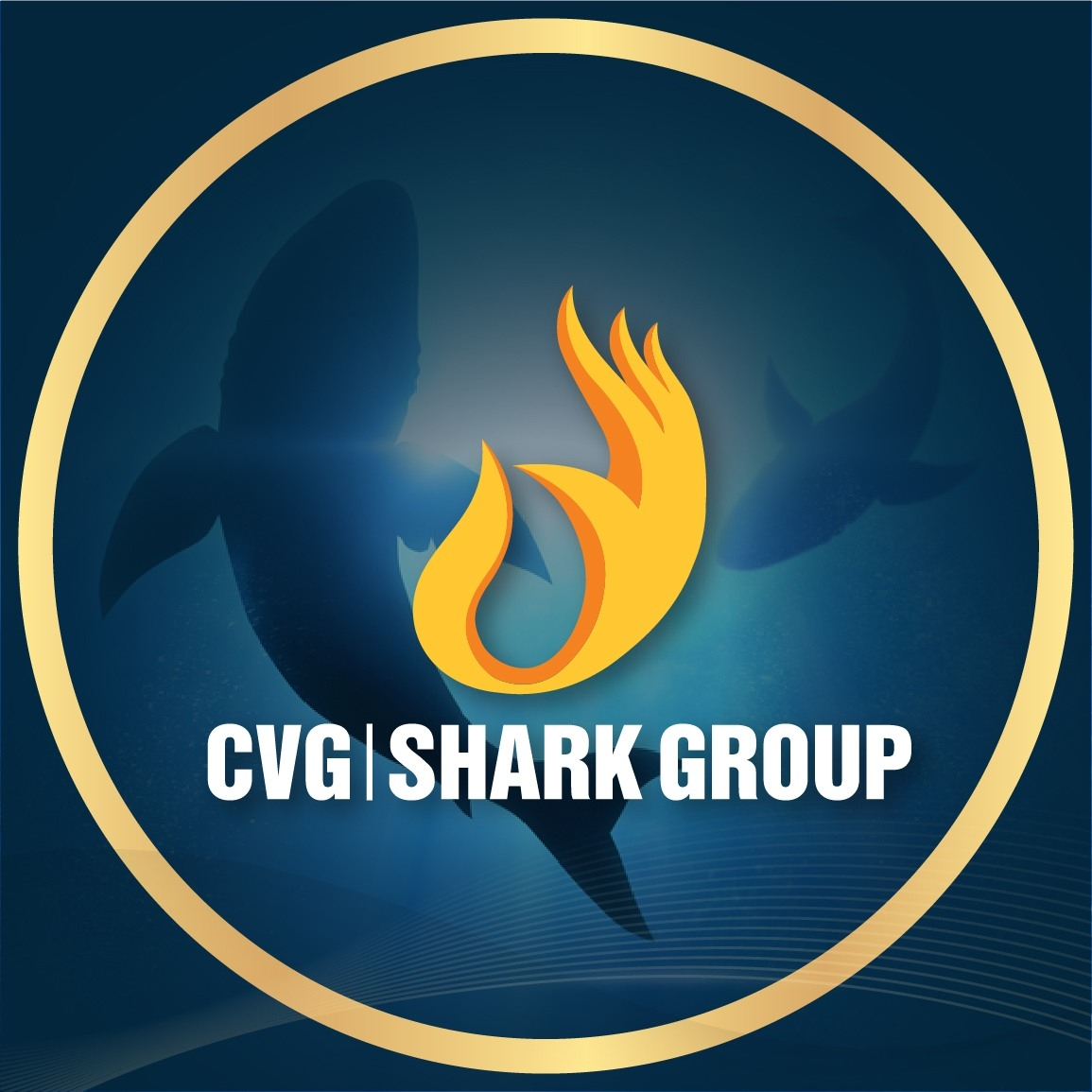 Công ty Cổ phần Tập đoàn CVG Shark Group