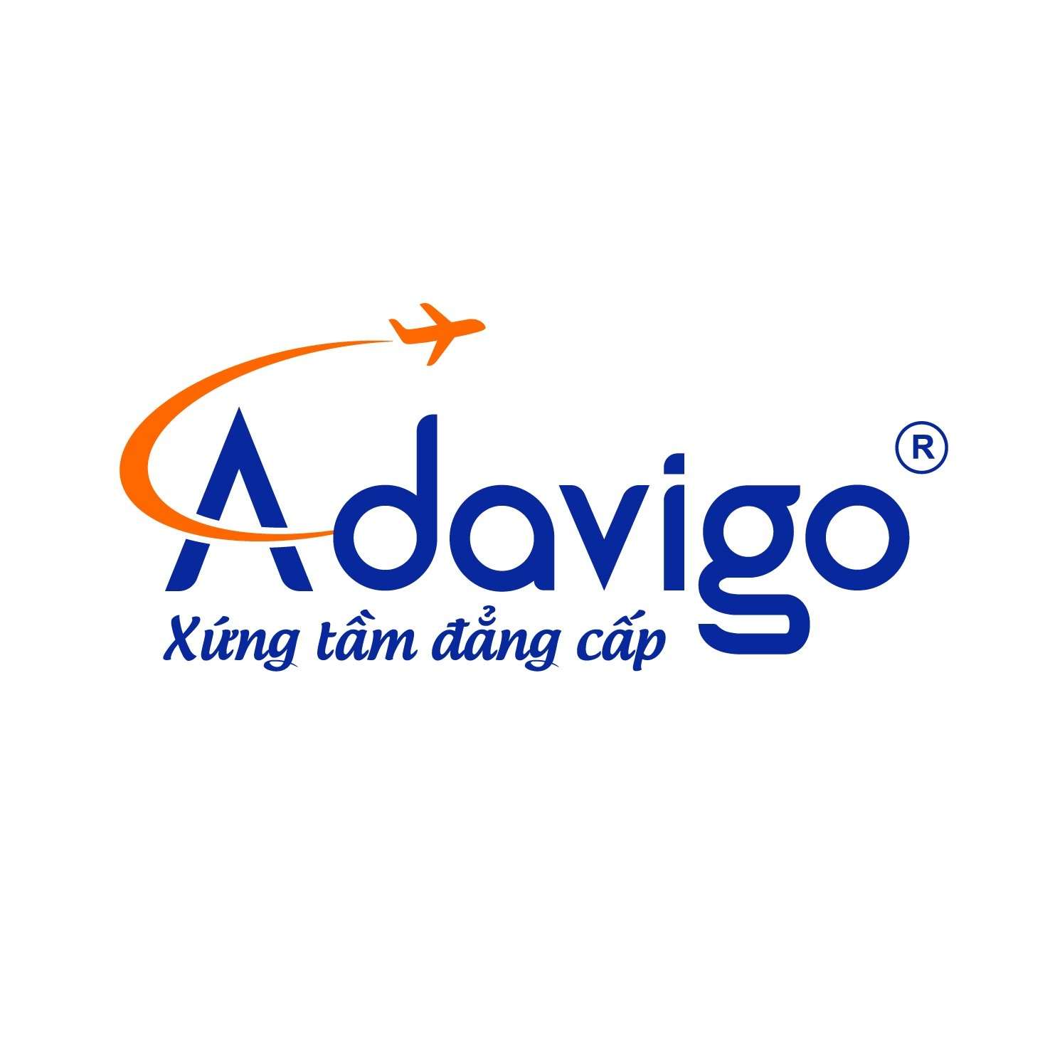Công ty Cổ phần Thương mại và Dịch vụ quốc tế Đại Việt - Adavigo