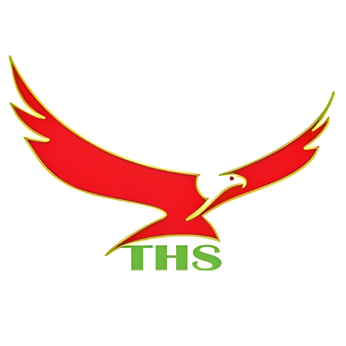 Công ty Cổ phần Thương mại và Dịch vụ THS Quốc Tế