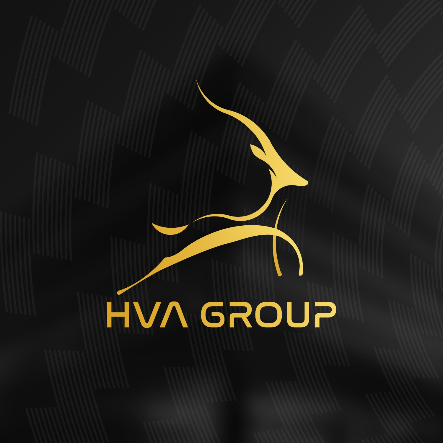 Công ty Cổ phần Đầu Tư HVA