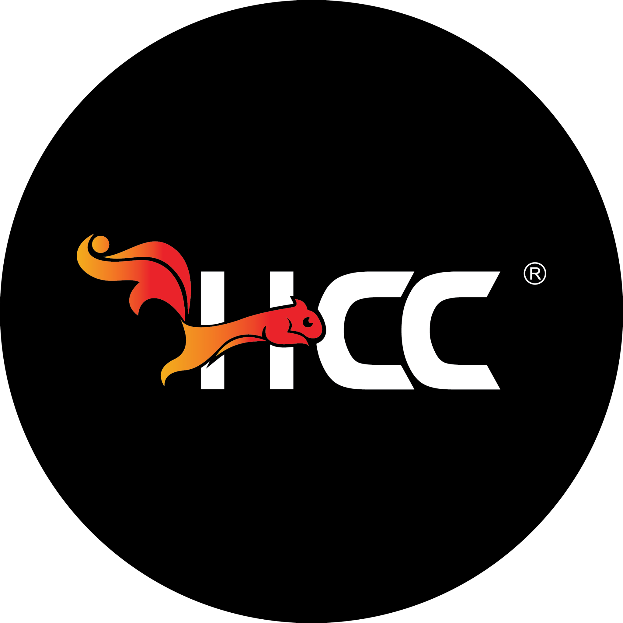 Công ty Cổ phần Giải Trí HCC Việt Nam