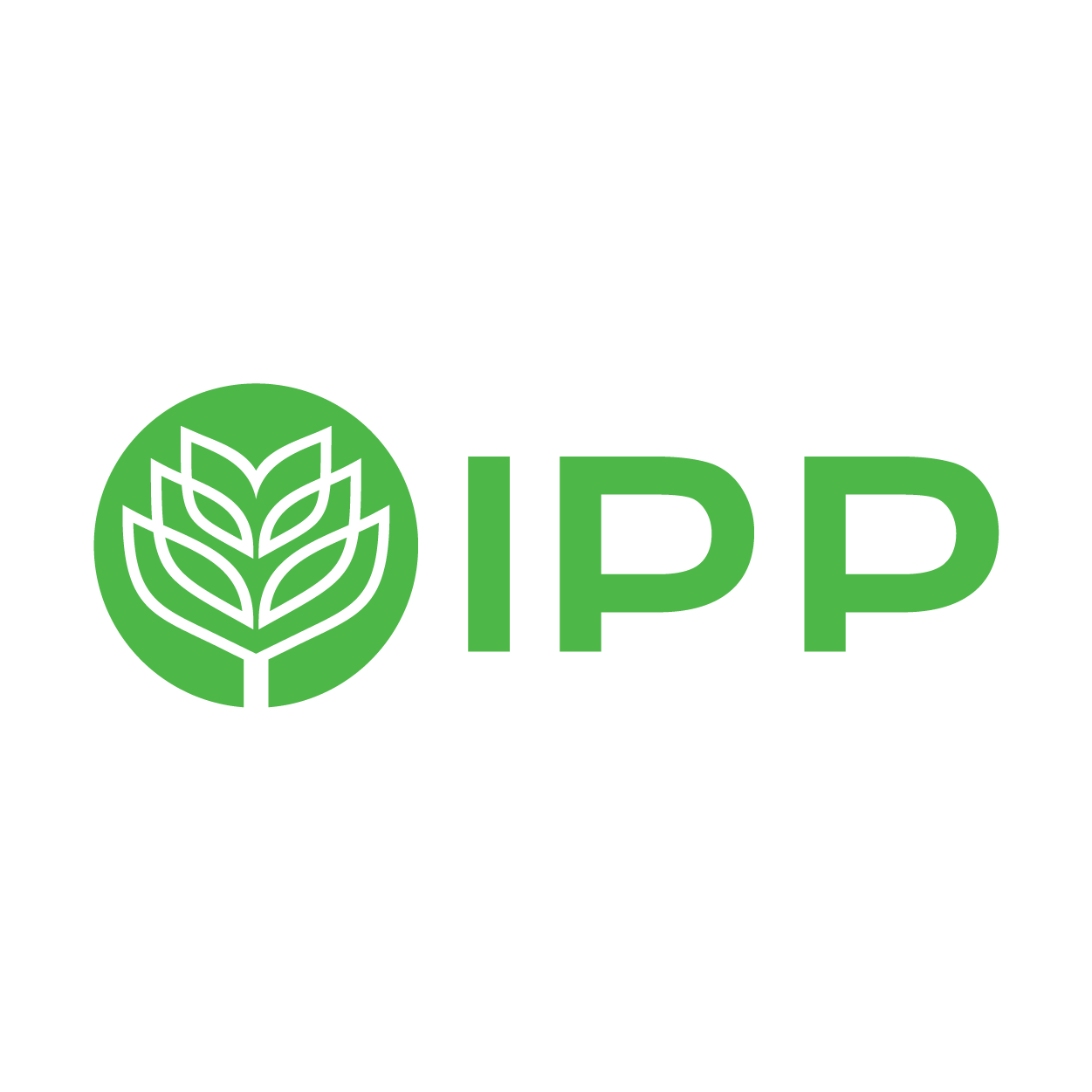 Công ty Cổ phần IPP Group