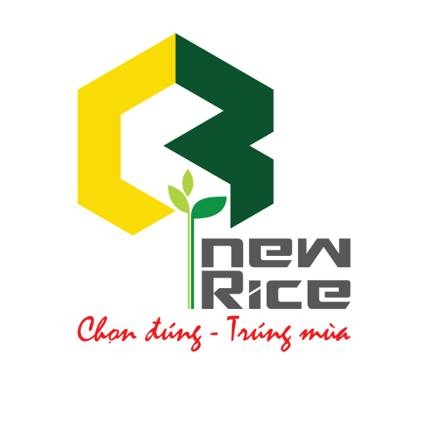 Công ty Cổ phần S New Rice