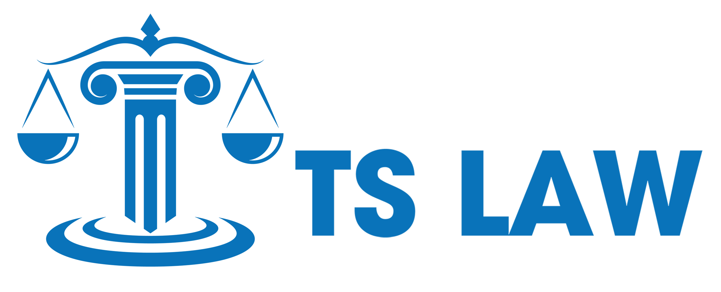 Công ty TNHH Tư vấn TS Law