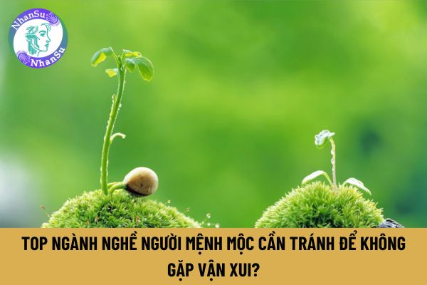 Top ngành nghề người mệnh Mộc cần tránh để không gặp vận xui?