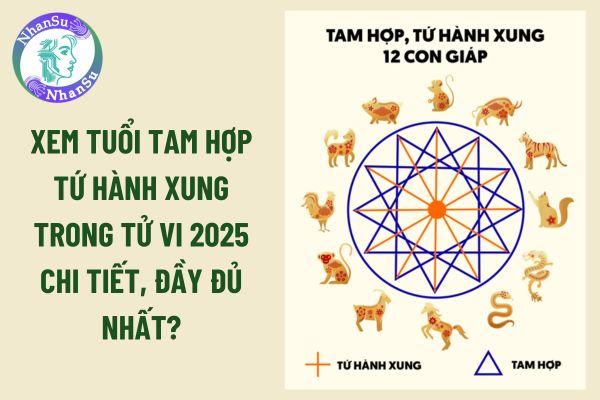 Xem tuổi Tam hợp Tứ hành xung trong tử vi 2025 chi tiết, đầy đủ nhất?