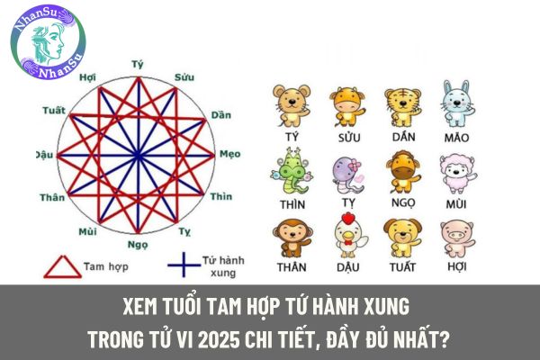 Xem tuổi Tam hợp Tứ hành xung trong tử vi 2025 chi tiết, đầy đủ nhất?