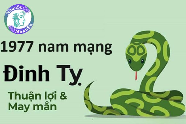 Tử vi tuổi 1977 nam mạng năm 2025: Thách thức và cơ hội? 